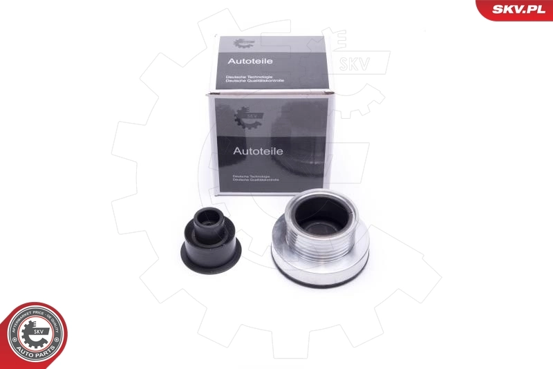 Alternator Freewheel Clutch